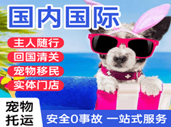 青岛国际宠物托运 【国